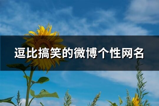 逗比搞笑的微博個性網(wǎng)名(共299個)