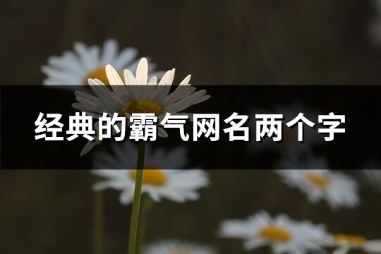全新兄弟網名合集(127個)