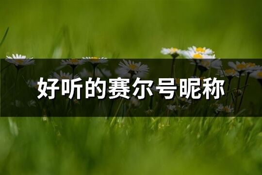 好聽的賽爾號昵稱(精選179個)