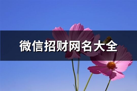 微信招財網名大全(共710個)