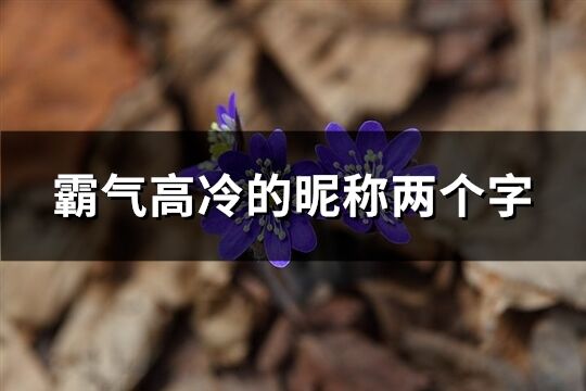 霸氣高冷的昵稱兩個字(精選814個)