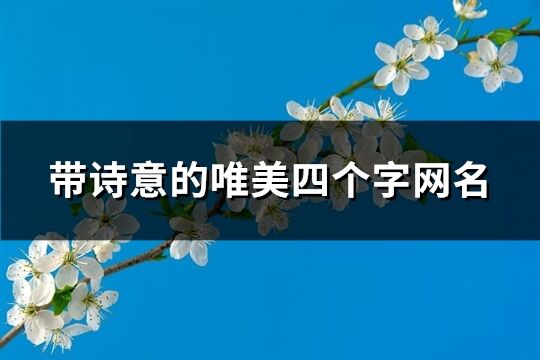帶詩意的唯美四個字網名(優選402個)