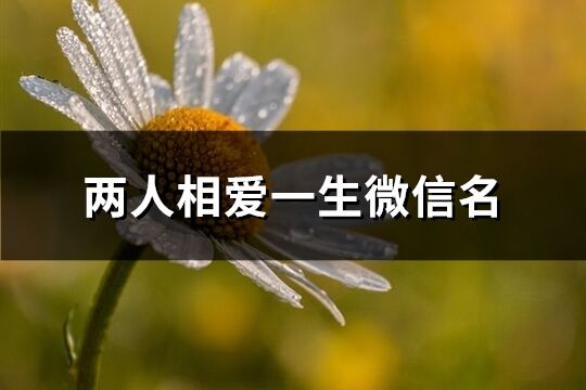 兩人相愛一生微信名(優(yōu)選150個)