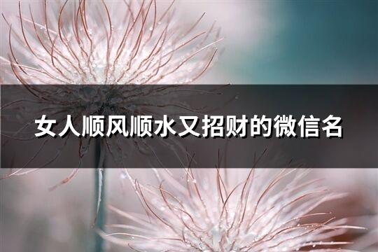 女人順風(fēng)順?biāo)终胸?cái)?shù)奈⑿琶?精選450個(gè))