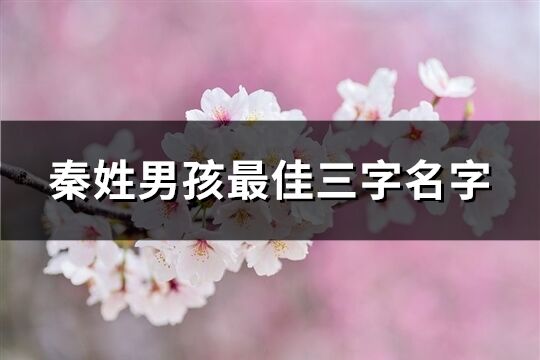 秦姓男孩最佳三字名字(精選129個)
