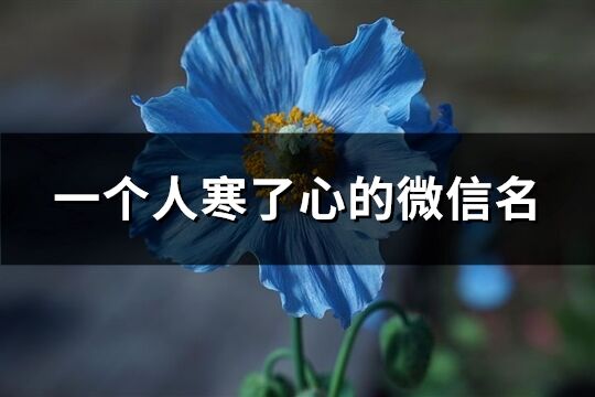 一個人寒了心的微信名(共342個)