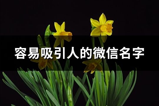 容易吸引人的微信名字(優選781個)