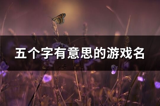 五個字有意思的游戲名(精選1265個)