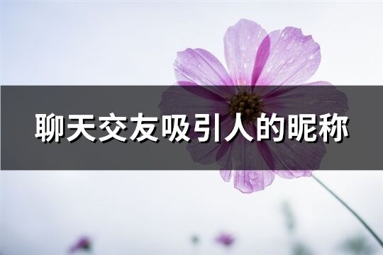 聊天交友吸引人的昵稱(精選201個)