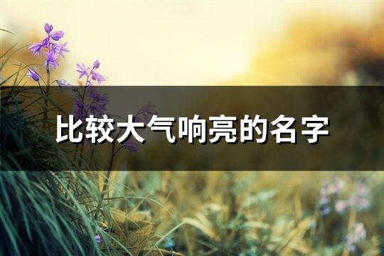 比較大氣響亮的名字(246個(gè))