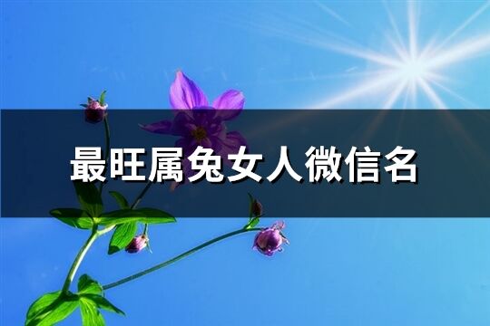最旺屬兔女人微信名(527個)