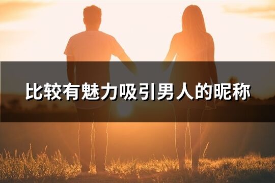 比較有魅力吸引男人的昵稱(共382個)