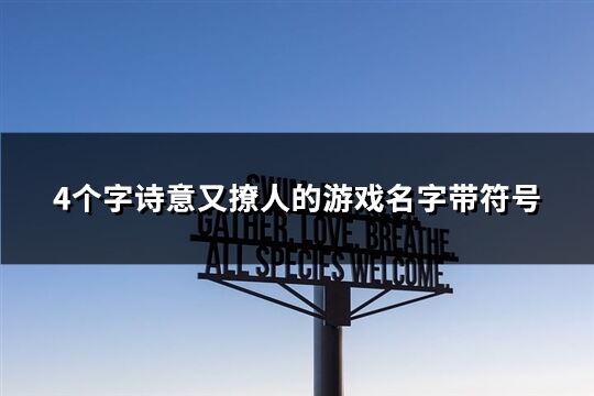 4個字詩意又撩人的游戲名字帶符號(精選50個)