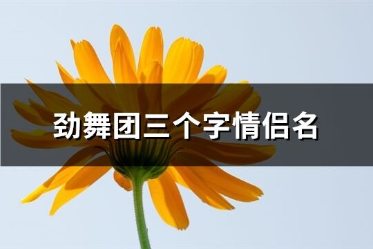 勁舞團三個字情侶名(精選47個)