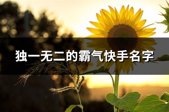 獨一無二的霸氣快手名字(精選191個)