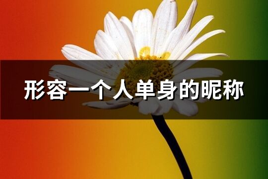 形容一個人單身的昵稱(優(yōu)選74個)