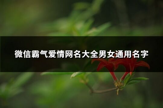 微信霸氣愛情網(wǎng)名大全男女通用名字(共206個(gè))