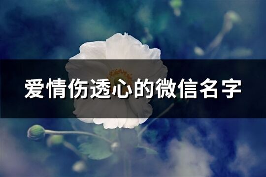 愛情傷透心的微信名字(共198個)
