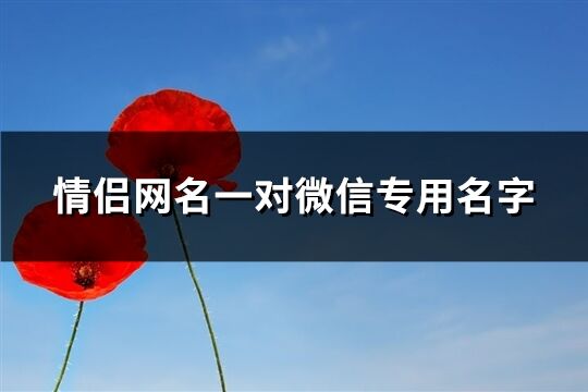 情侶網名一對微信專用名字(共78個)