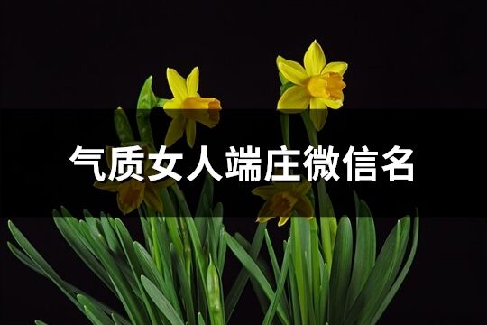 氣質女人端莊微信名(優選494個)