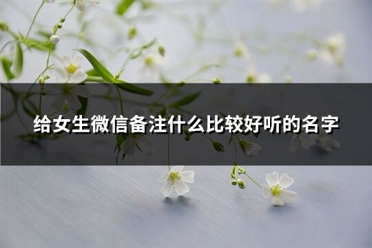 給女生微信備注什么比較好聽(tīng)的名字(優(yōu)選208個(gè))