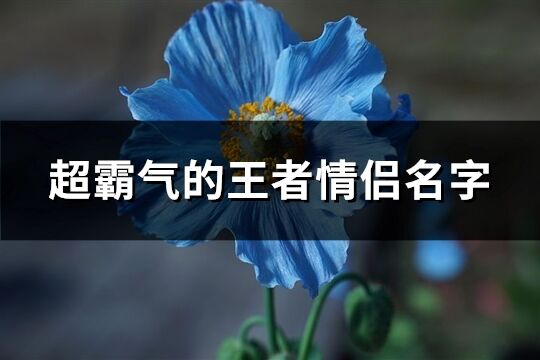 超霸氣的王者情侶名字(206個)