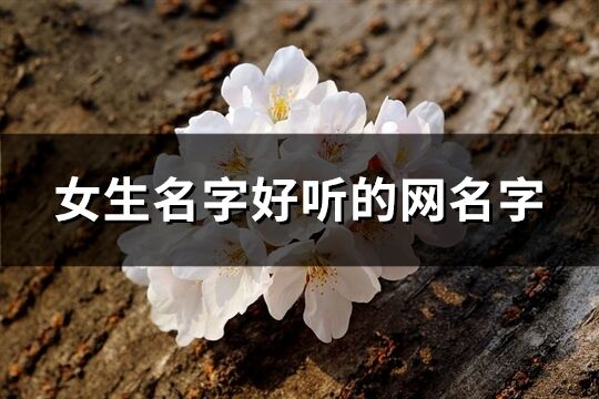 女生名字好聽的網名字(精選366個)