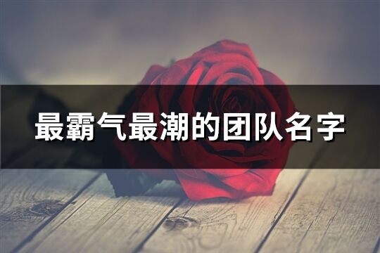 最霸氣最潮的團隊名字(150個)