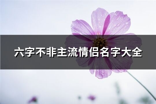 六字不非主流情侶名字大全(優選307個)