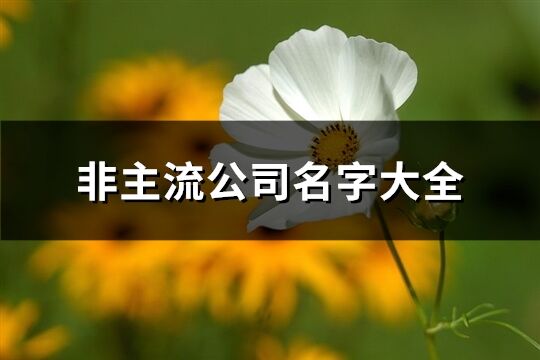 非主流公司名字大全(268個)