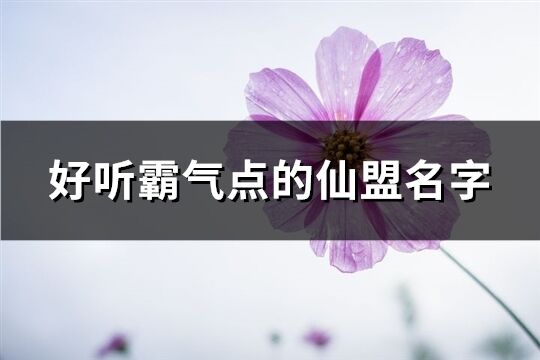 好聽霸氣點(diǎn)的仙盟名字(精選144個(gè))