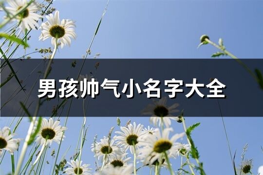 男孩帥氣小名字大全(共252個)
