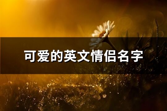 可愛的英文情侶名字(優選65個)