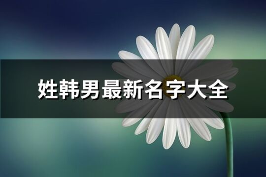 姓韓男最新名字大全