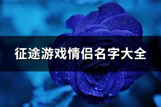 征途游戲情侶名字大全(171個)