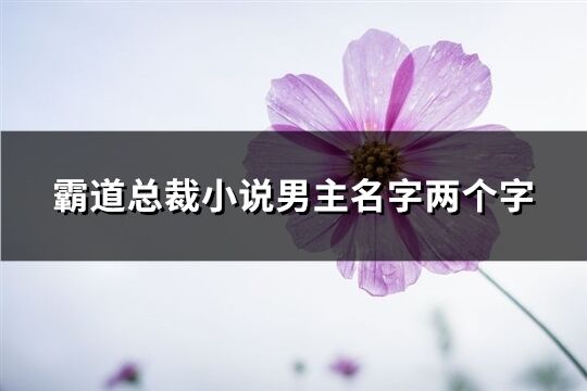霸道總裁小說男主名字兩個字(53個)