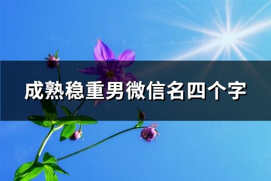 成熟穩(wěn)重男微信名四個字(319個)