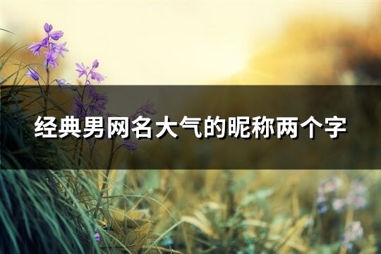 經典男網名大氣的昵稱兩個字(優選662個)