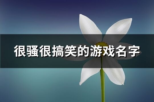 很騷很搞笑的游戲名字(共181個)