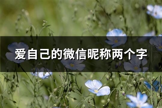 愛自己的微信昵稱兩個字(325個)