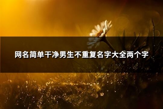 網名簡單干凈男生不重復名字大全兩個字(精選480個)
