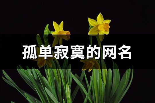 孤單寂寞的網(wǎng)名(優(yōu)選84個(gè))