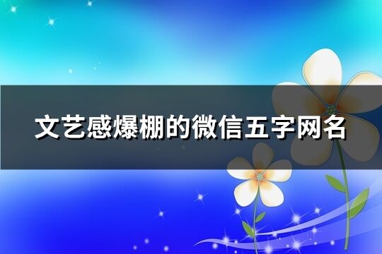 文藝感爆棚的微信五字網(wǎng)名(154個)
