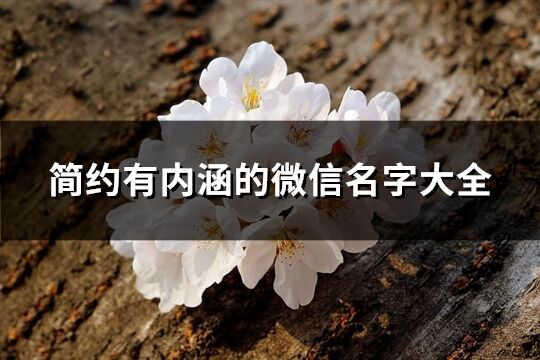 簡約有內涵的微信名字大全(精選416個)