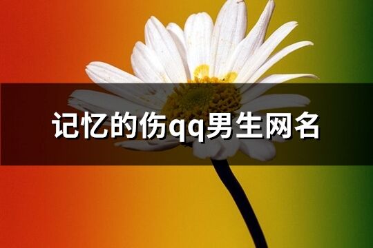 記憶的傷qq男生網名(370個)