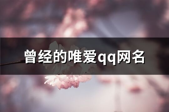 曾經的唯愛qq網名(共175個)