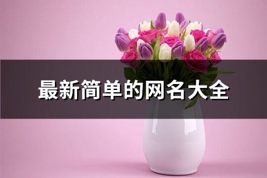 最新簡單的網名大全(896個)
