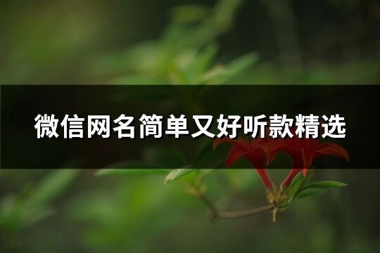 微信網名簡單又好聽款精選(共58個)
