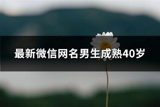 最新微信網(wǎng)名男生成熟40歲(優(yōu)選67個(gè))