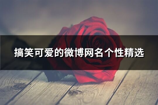 搞笑可愛的微博網(wǎng)名個性精選(優(yōu)選434個)